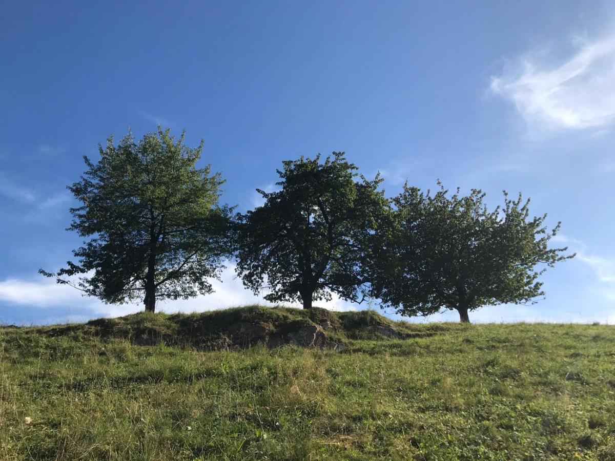 Lindewerra Hirtenrasen 52A מראה חיצוני תמונה